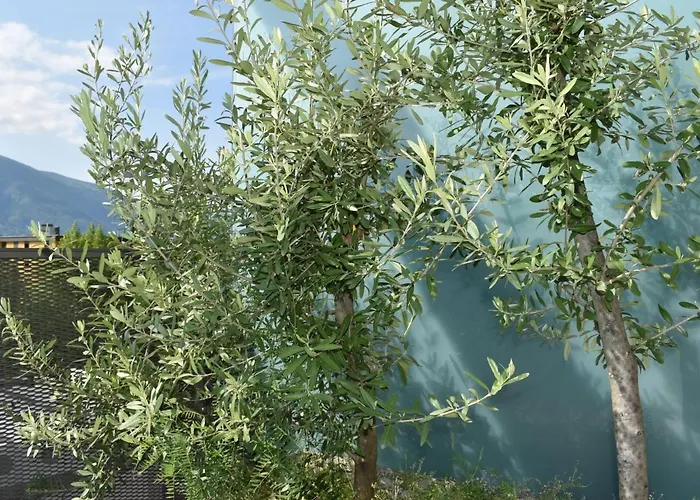 Apartmán Orizia By Interhome Locarno